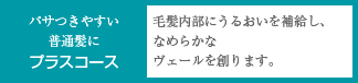 パサつきやすい普通髪にプラスコース